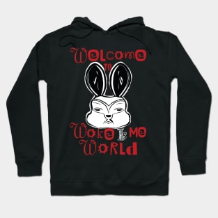 Welcome to Woke Is Me World Hoodie